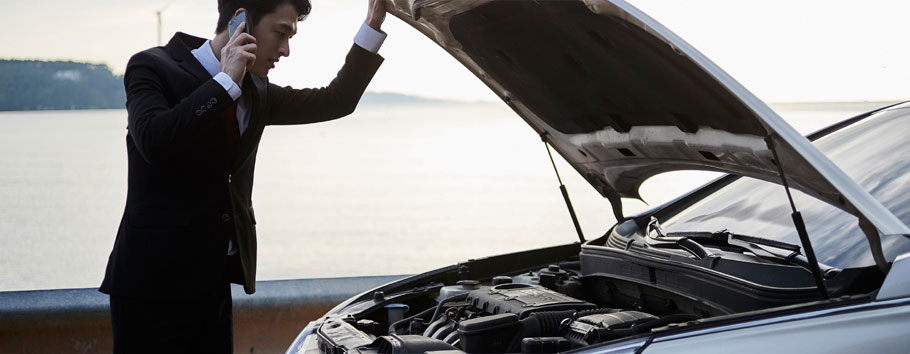 보험처리보장내용 이미지